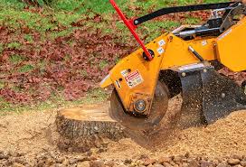 Best Weed Control  in Southeast Arcadia, FL